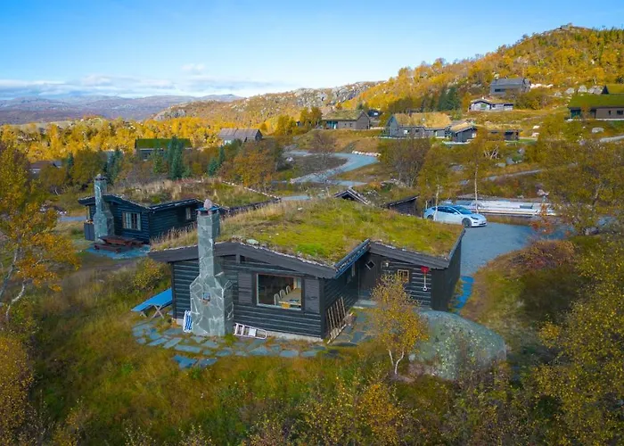 Fjellgrend *
